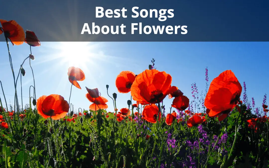 22 Best Songs About Flowers Ever Created (Updated for 2023)