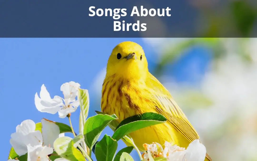 The 27 Best Songs About Birds (Ultimate Bird Song Playlist)